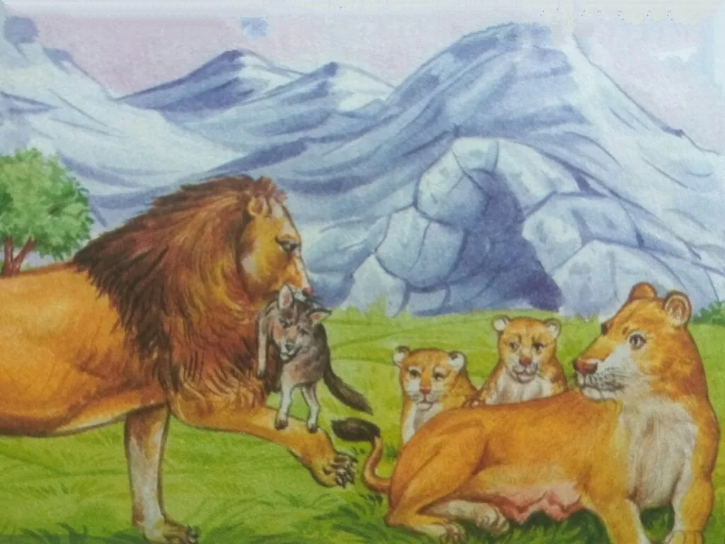 The Lion brought New born Baby Jackal as Food for Dinner.