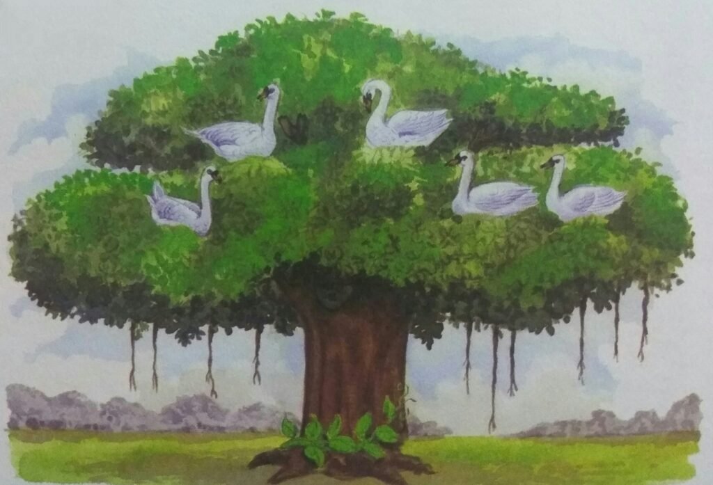 In a dense forest, there stood a huge banyan tree. It had a thick trunk and spread out branches formed liked an umbrella. A flock of wild geese lived on this tree.