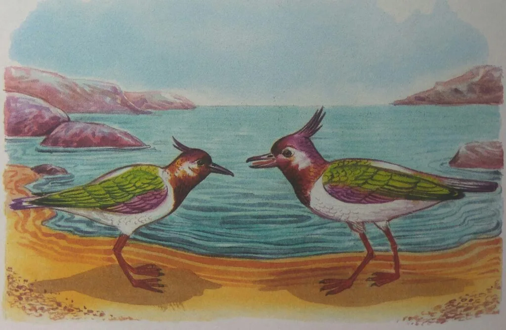 Mother-lapwing asked her husband (Father-Lapwing) to look for some safe place where she could lay her eggs when the time comes.