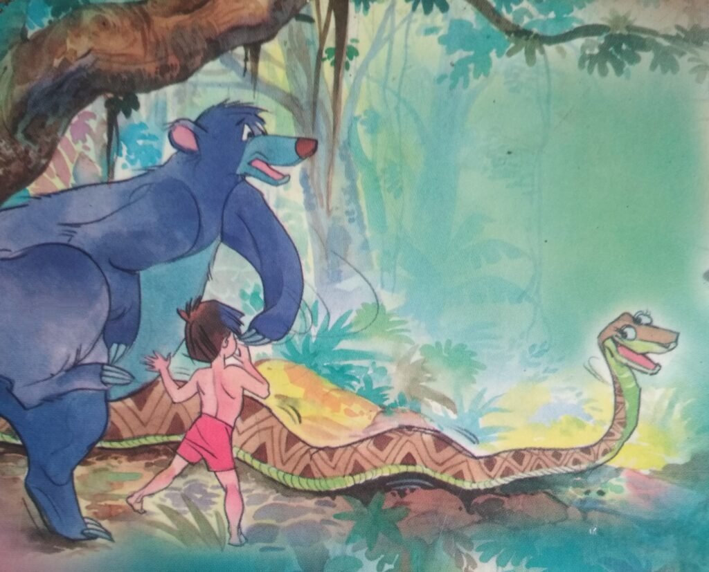 "Watch where you drop, Kaa," said Baloo. Kaa, the python ignored him and looked at Raafay. "You must come and see me sometime".