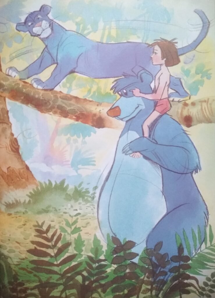 The Bageera and the Baloo ,both, fought with the monkeys and released Raafay from the cage. Then Baloo carried him on his shoulder, and off they went.