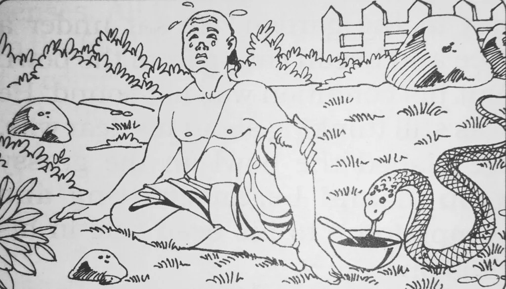Meanwhile, a cobra that lived in the anthill under the tree came out and tasted the sweet dish, inadvertently mixing its venom into it. Prafull Kant, who was absorbed in his own world, did not notice the snake. Later, the snake returned to its hole.