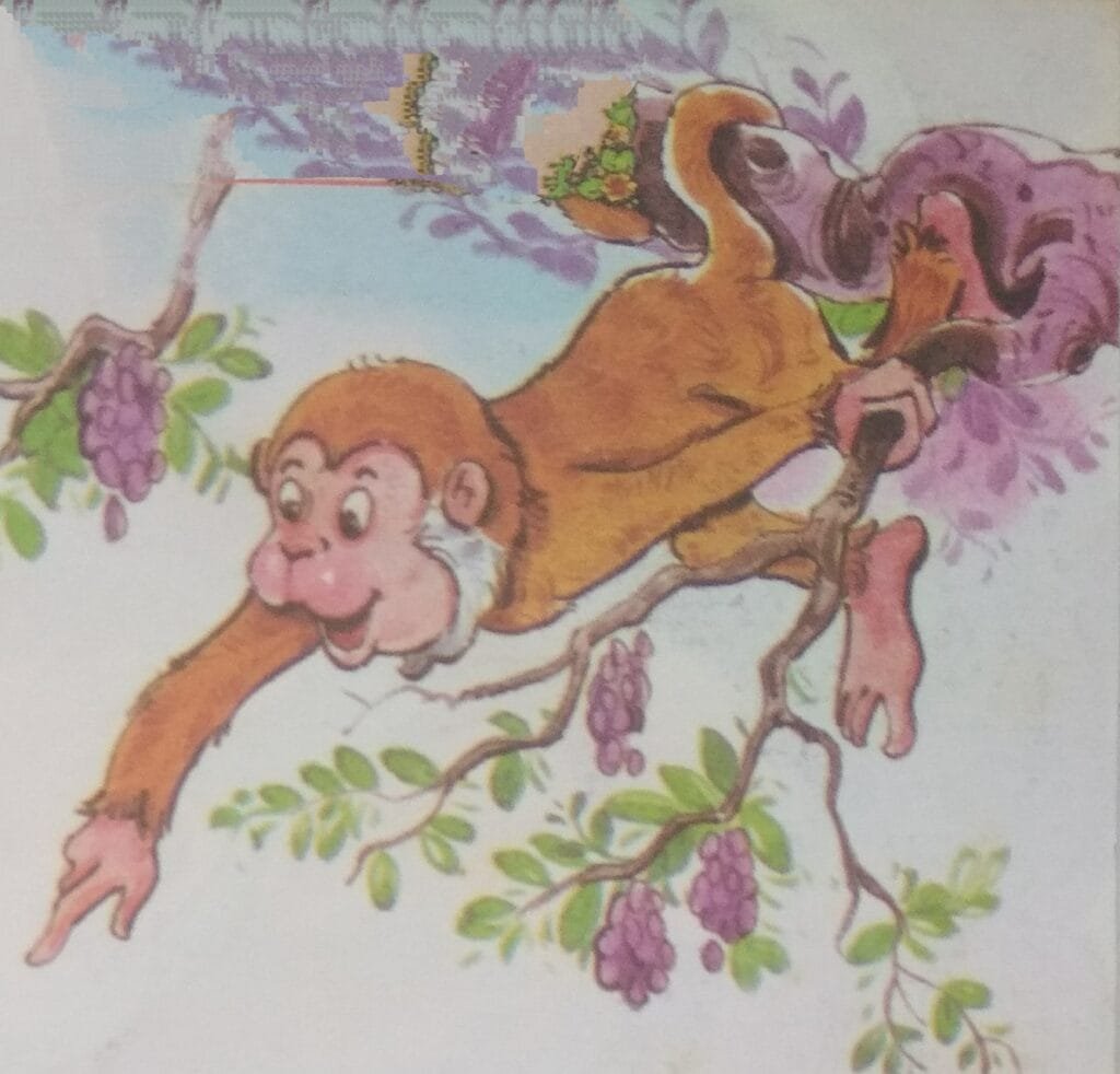 One morning, the monkey thought of doing an extra favour for the crocodile. The monkey piled extra jamuns into the crocodile’s claws. “For your family,” he said. “Share the sweetness, and if they ever want more, just let me know—don’t hesitate to ask.”